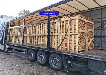 A pus pădurea pe roţi