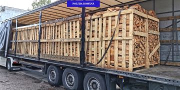 A pus pădurea pe roţi