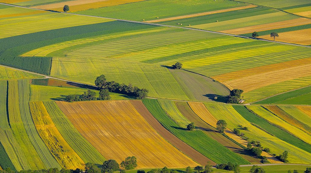 Cadastrarea terenurilor, fără extrasul de carte funciară