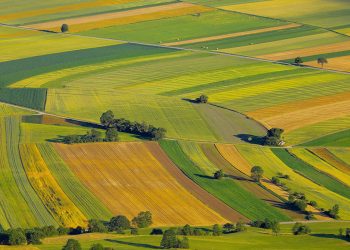 Cadastrarea terenurilor, fără extrasul de carte funciară