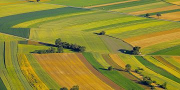 Cadastrarea terenurilor, fără extrasul de carte funciară