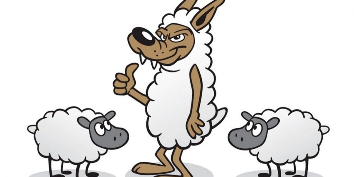 Lupul paznic la oi: un ofițer delegat la Parchet a cerut peste 1 milion de euro