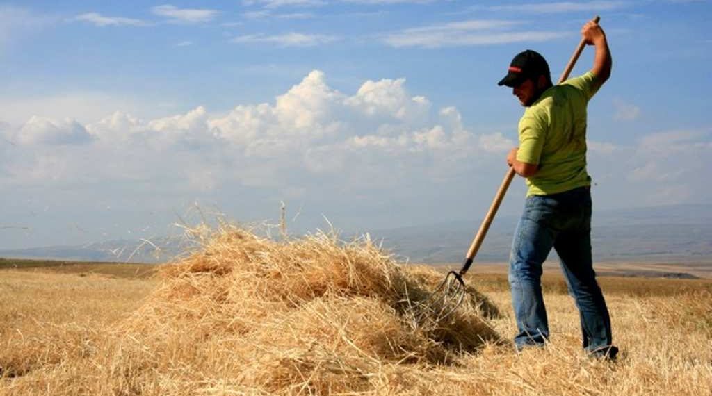 Vești bune pentru fermieri