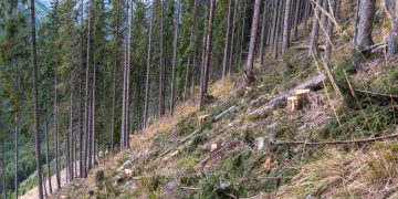 HG-ul pentru operaționalizarea SUMAL 2.0 a fost aprobat