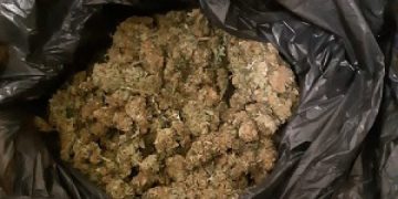 2 kilograme de canabis, găsite asupra unor suspecți prinși în flagrant delict