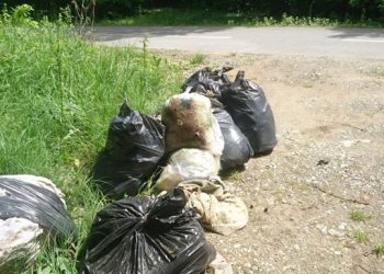 Tone de deşeuri abandonate pe terenuri sau la margine de drum, găsite de Garda de Mediu Bihor