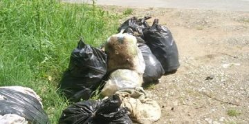 Tone de deşeuri abandonate pe terenuri sau la margine de drum, găsite de Garda de Mediu Bihor