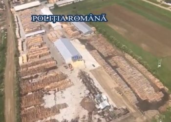 Cantităţi uriaşe de lemn, de aproape 1.000.000 de lei, confiscate într-o acţiune a poliţiştilor din opt judeţe (VIDEO)