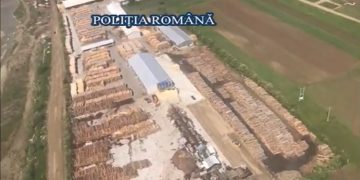 Cantităţi uriaşe de lemn, de aproape 1.000.000 de lei, confiscate într-o acţiune a poliţiştilor din opt judeţe (VIDEO)