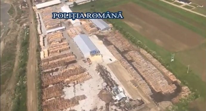 Cantităţi uriaşe de lemn, de aproape 1.000.000 de lei, confiscate într-o acţiune a poliţiştilor din opt judeţe (VIDEO)