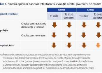 BNR: Băncile înăspresc standardele de creditare. S-au prăbușit cererile pentru credite de consum sau pentru cumpărarea de locuințe