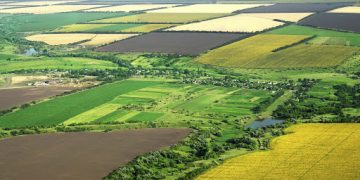 Vânzarea terenurilor agricole către străini, interzisă prin lege