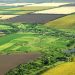 Vânzarea terenurilor agricole către străini, interzisă prin lege