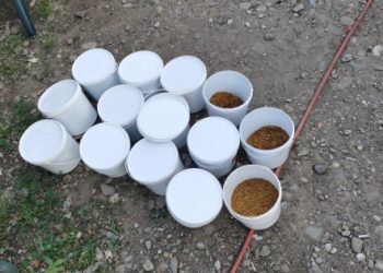 Tutun fabricat de traficanți, promovat online și distribuit clienților prin curieri. Câți bani a încasat un grup de suspecți