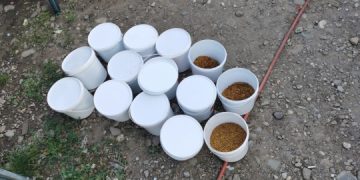 Tutun fabricat de traficanți, promovat online și distribuit clienților prin curieri. Câți bani a încasat un grup de suspecți