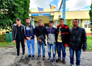 Captură la granița de vest | Șase asiatici, prinși când se strecurau, prin tufișuri, spre frontiera cu Ungaria