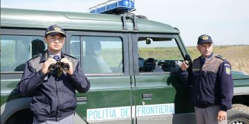 Taximetre cu migranți, prinse lângă granița cu Ungaria