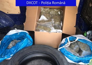 Peste 12 kilograme de canabis, găsite în casele unor traficanți. Marfa urma să fie vândută consumatorilor din Cluj