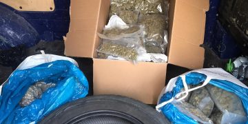 Peste 12 kilograme de canabis, găsite în casele unor traficanți. Marfa urma să fie vândută consumatorilor din Cluj