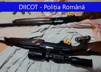 Arme și 45 de kilograme de CANABIS, găsite de DIICOT cu ocazia unor percheziții. Drogurile erau cultivate într-o poiană