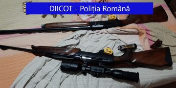 Arme și 45 de kilograme de CANABIS, găsite de DIICOT cu ocazia unor percheziții. Drogurile erau cultivate într-o poiană