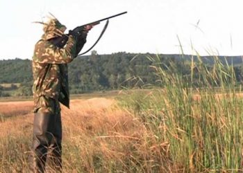 Decizie ISTORICĂ a justiției din România | Vânătoare interzisă la 36 de specii de păsări