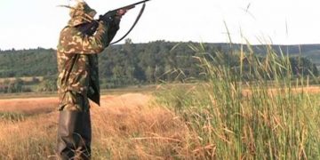 Decizie ISTORICĂ a justiției din România | Vânătoare interzisă la 36 de specii de păsări