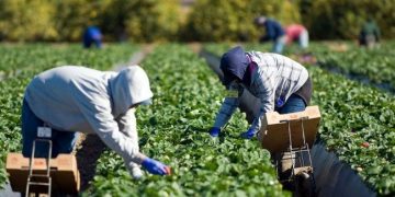 E oficial | Indemnizații pentru zilieri și sezonieri și pentru cei cu program redus din cauza pandemiei