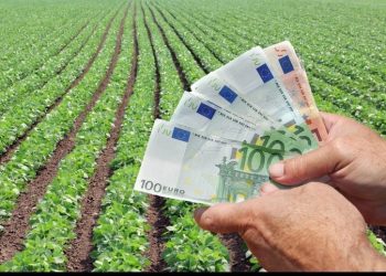 Primar trimis în judecată într-un dosar de fraude cu fonduri europene