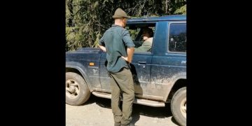 Un senator acuză: AMENINȚĂRI CU MOARTEA, în timp ce documenta tăieri ilegale de păduri