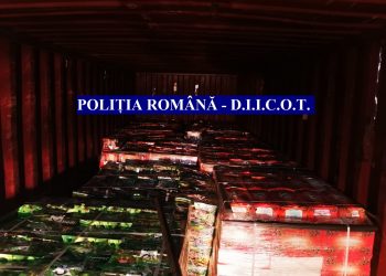 Cea mai mare CAPTURĂ de pastile de captagon și hașiș din istoria DIICOT și a Poliției Române valorează 60.000.000 de euro
