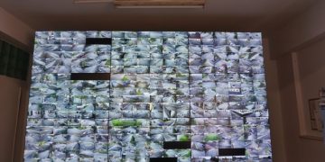 Oradea, sub supraveghere | Peste 440 de camere video au fost montate în oraș. Un soft va monitoriza ”posibile acțiuni ostile”