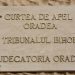 Patru magistrați stagiari care au promovat examenul de capacitate au fost REPARTIZAȚI în Bihor | Alți doi au plecat de la instanțele din Oradea