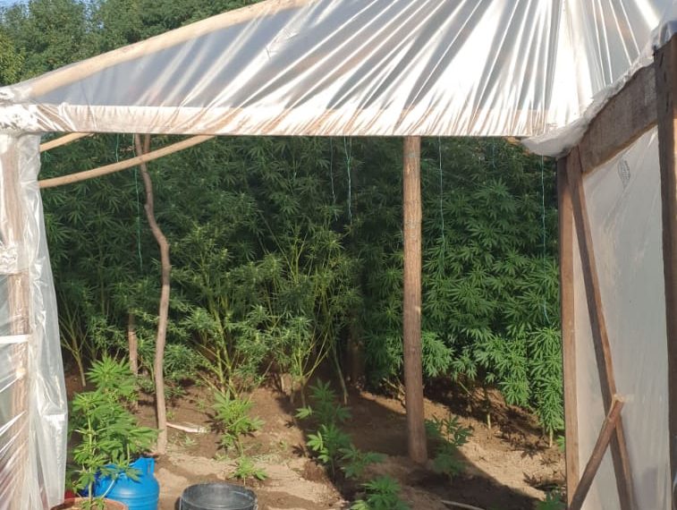 Fiu de preot, implicat într-o rețea de trafic de droguri