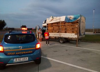 Un transport CLANDESTIN de tutun care urma să iasă din țară prin vama Borș, interceptat de inspectorii antifraudă