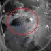 VIDEO. E căutat un șofer care a DISTRUS mai multe mașini și a fugit