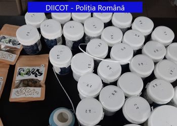 Percheziții în două magazine care vindeau produse din CANABIS în Oradea și Iași