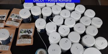 Percheziții în două magazine care vindeau produse din CANABIS în Oradea și Iași