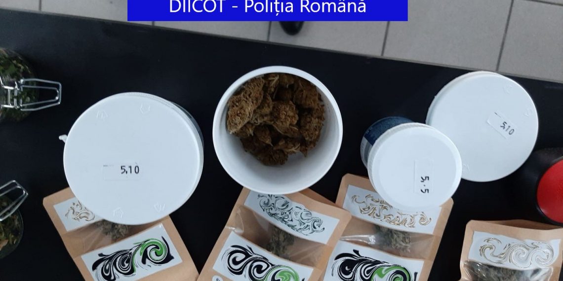 Percheziții în două magazine care vindeau produse din CANABIS în Oradea și Iași