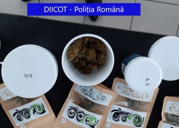 Percheziții în două magazine care vindeau produse din CANABIS în Oradea și Iași