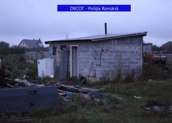 SCLAVI ținuți într-o fermă de animale din Bihor | Erau bătuți și puși să lucreze fără bani