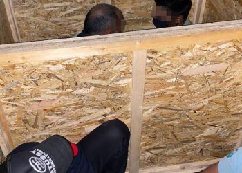 ”Invazie” la granița de vest. 70 de migranți au fost găsiți în trei autotrenuri și un microbuz