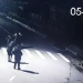 VIDEO. Vandali în gașcă | 6 tineri din Tinca care au rupt indicatoare rutiere, surprinși de camerele de supraveghere