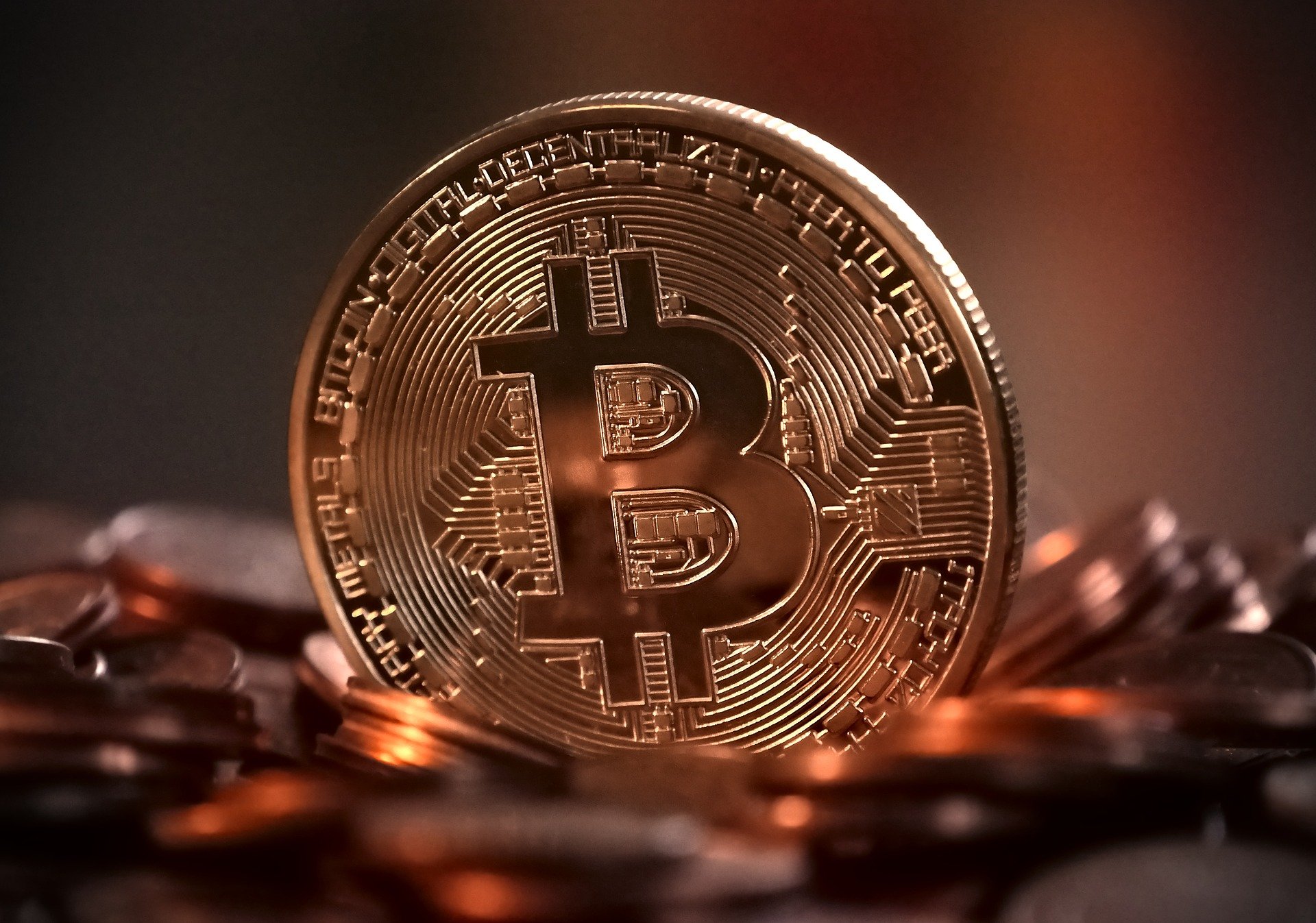 valoarea acțiunilor bitcoin bitcoin jocuri de noroc legal