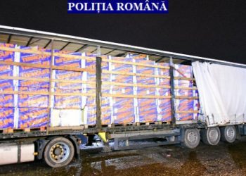 Peste 2 MILIOANE de țigări de contrabandă, găsite într-un camion | Marfa era mascată cu vată minerală
