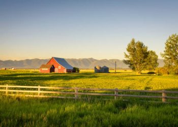 Foto: istockphoto.com