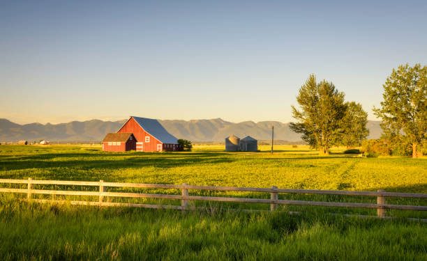 Foto: istockphoto.com