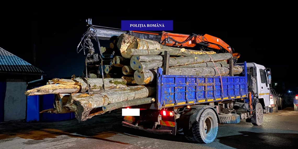 Polițiștii bihoreni au dat amenzi de peste 10.000 de lei | 109 pomi de Crăciun și peste  15 metri cubi de lemn, confiscați