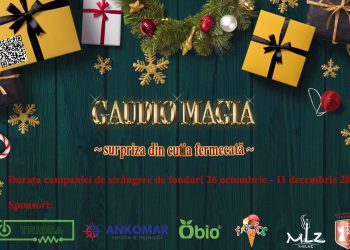 Surpriza din cutia fermecată – proiect de strângere de fonduri pentru copiii din Bihor