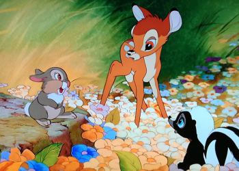 Condamnare INEDITĂ| Un braconier acuzat că a omorât ilegal sute de căprioare, obligat de instanță să se uite UN AN la filmul ”Bambi”